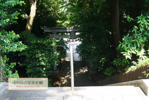 神奈川県　神鳥前川神社