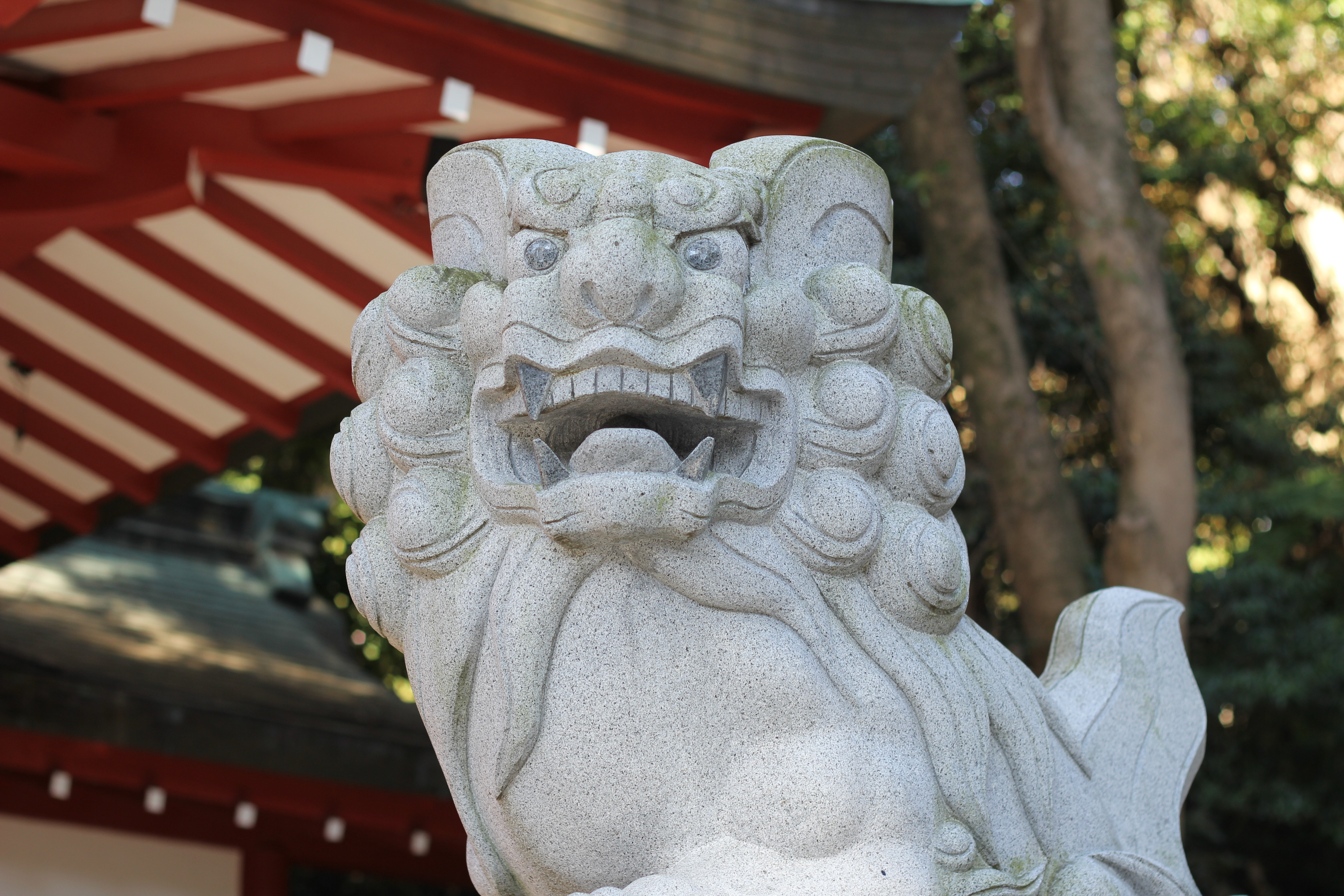 静岡県　来宮神社