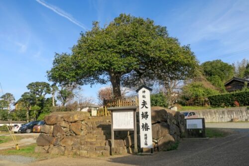 八重垣神社