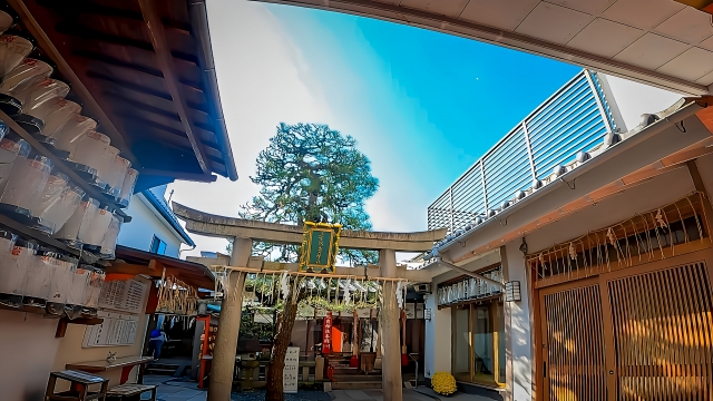 市比賣神社