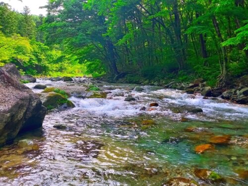 おすすめ那須の宿
