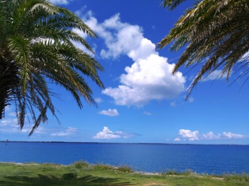 ジャングリア＋1日観光プラン