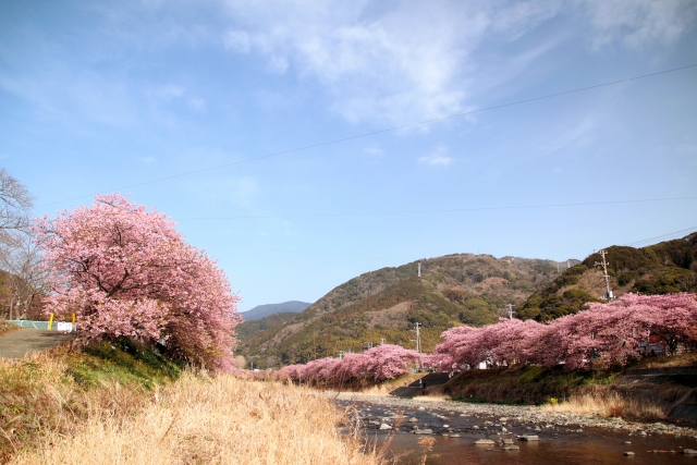 伊豆の観光