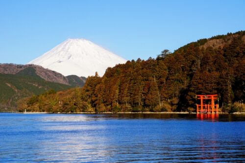 標高の高さがもたらす涼しく過ごしやすい気候