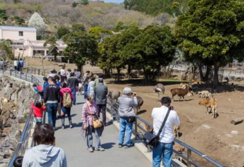 伊豆アニマルキングダム