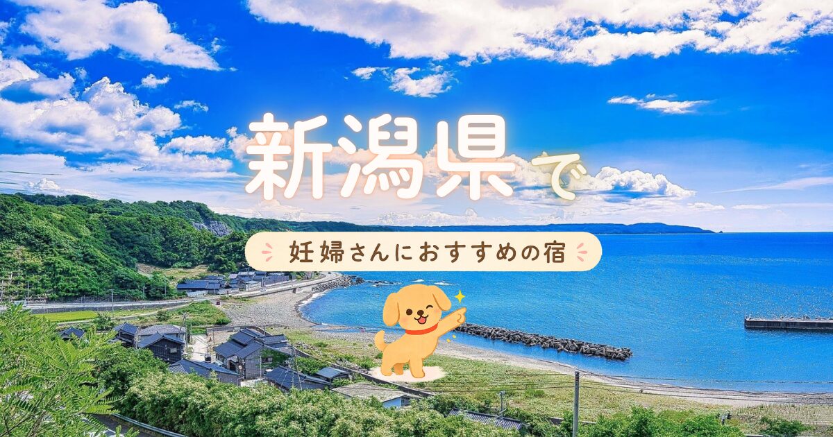 新潟県でマタニティプランもある妊婦さんにおすすめの宿