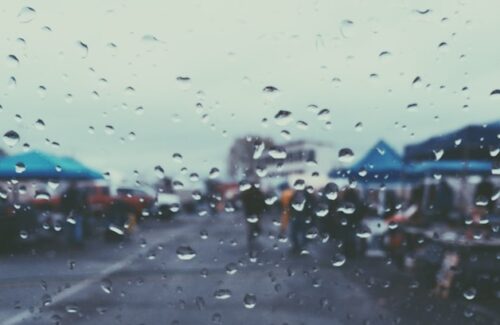 雨の日でも楽しめるポイント