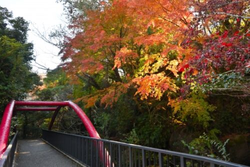 万葉公園