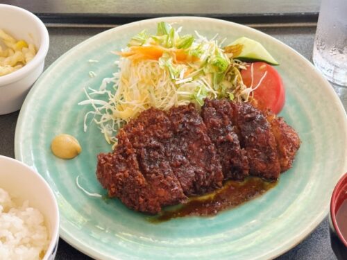 軽めに味噌カツを食べたい方に