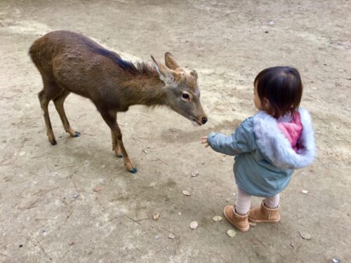 赤ちゃん連れで動物園を楽しむポイント
