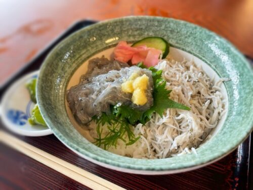 鎌倉大仏の近くでしらす丼と海鮮定食を満喫