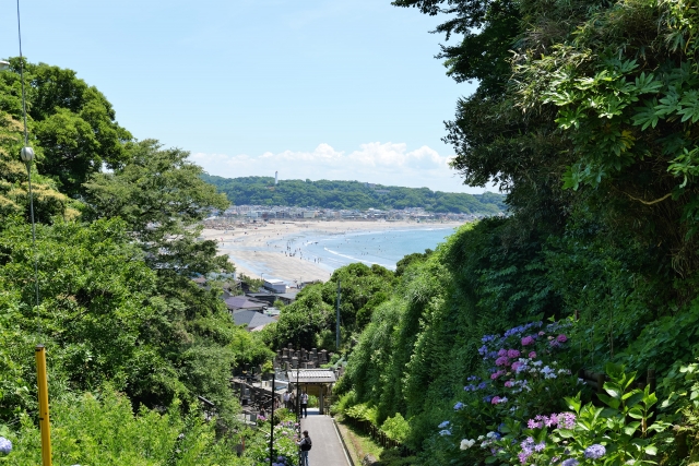 成就院近くのランチとカフェはここ！あじさい観光のあとに寄りたい和食や甘味9選
