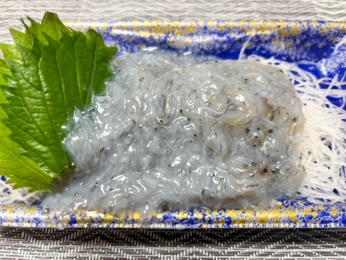 湘南しらすのお土産