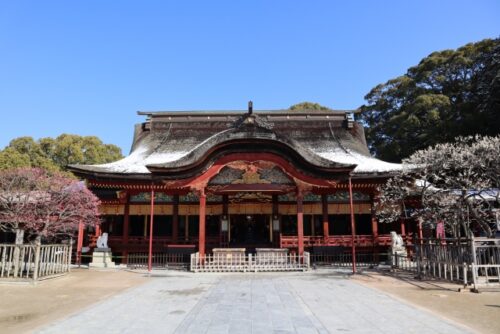 希望や条件に合わせて安産祈願を探したい