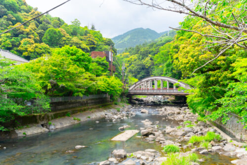 妊娠中に箱根の宿を選ぶときのポイント