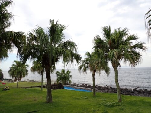 伊東・伊豆高原エリア　伊豆海洋公園