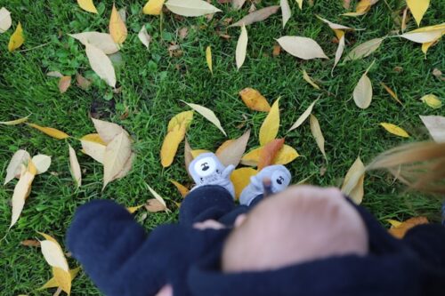 赤ちゃん連れで伊豆の公園を選ぶポイント