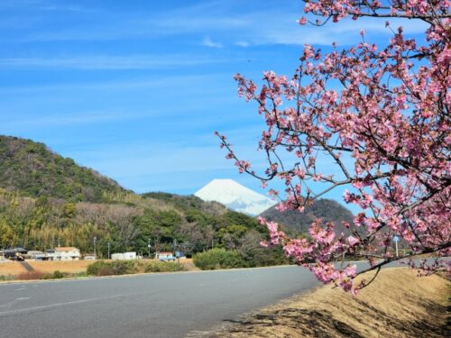 狩野川記念公園