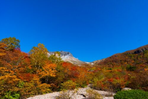 妊娠中でも無理なく楽しめる周辺の観光地