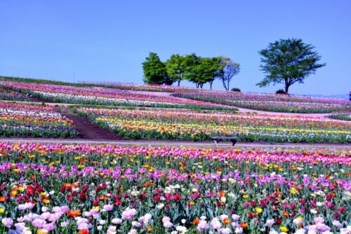 那須の観光