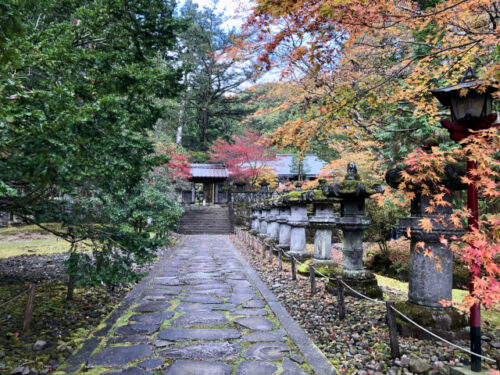 妊娠中の旅行で気を付けたいこと