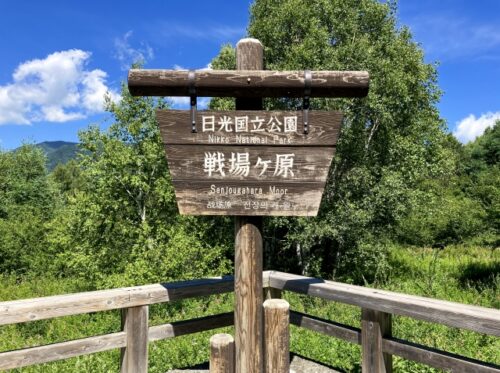 奥日光