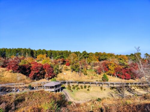 中伊豆で赤ちゃん連れにおすすめの公園