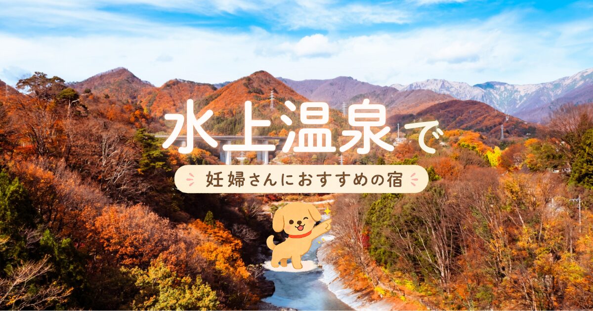 水上温泉でマタニティプランがある妊婦さんにおすすめの宿