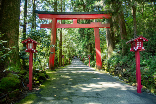 箱根神社での安産祈願