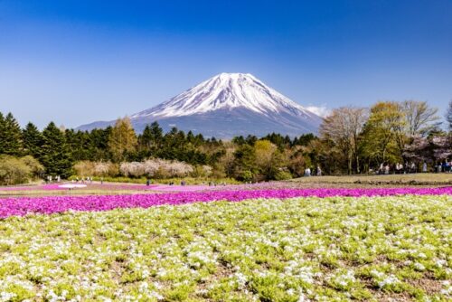 富士山ビューの宿が多い
