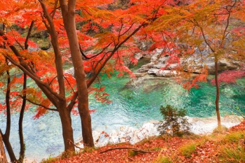 水上温泉郷は妊婦さんが過ごしやすい温泉地