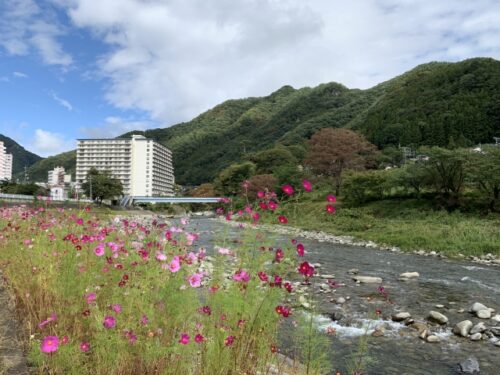 妊婦さんにおすすめの水上温泉
