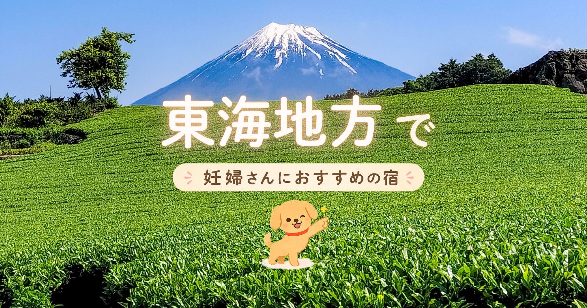 東海地方で妊婦さんにおすすめの宿
