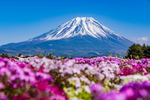 山梨県でマタニティプランもある妊婦さんにおすすめの宿