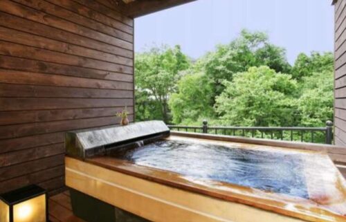 新木鉱泉旅館（御代の湯）