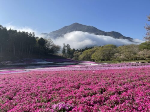 秩父は妊婦さんが過ごしやすい温泉地