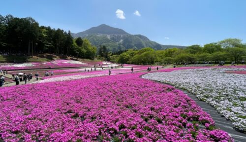 秩父で妊婦さんにおすすめの宿