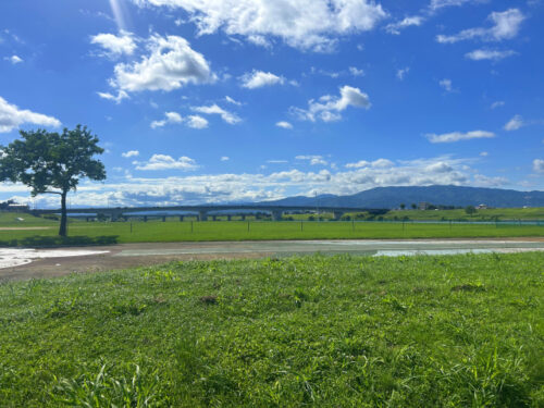 筑後川の鵜飼