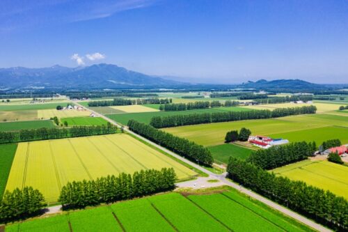 新千歳空港エリア?函館空港エリア?先にエリアを決めよう