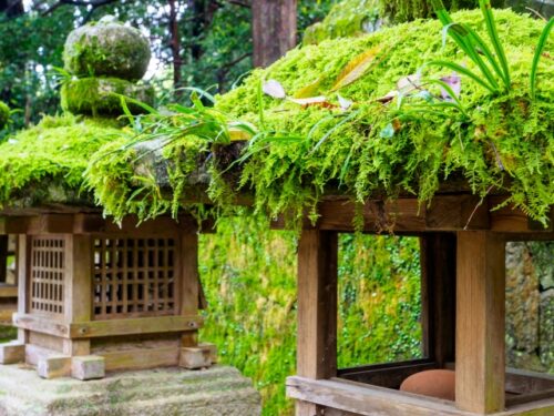 帯解寺