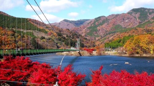 もみじ谷大吊橋
