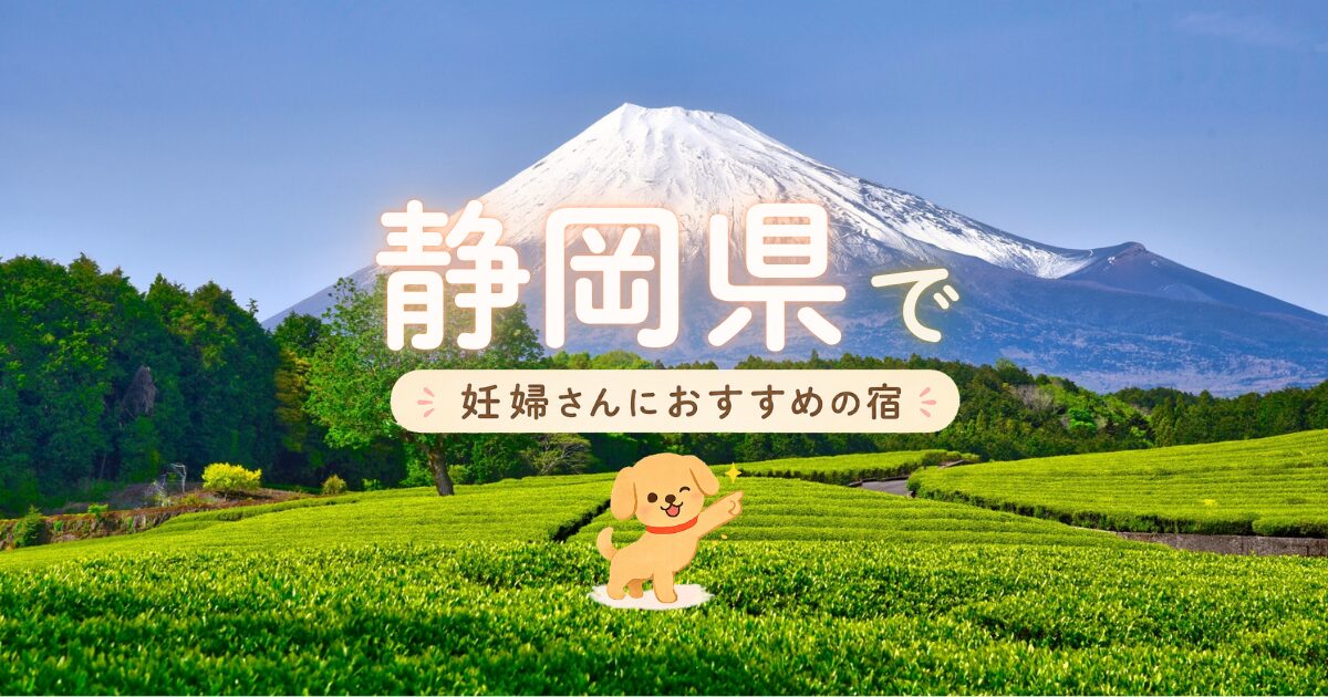 静岡県で妊婦さんにおすすめの宿