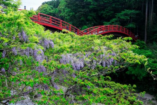 観音橋