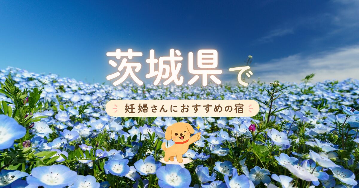 茨城県で妊婦さんにおすすめの宿の選び方