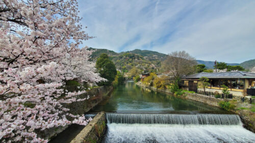 京都府は妊娠中でも観光と客室風呂、両方楽しめる