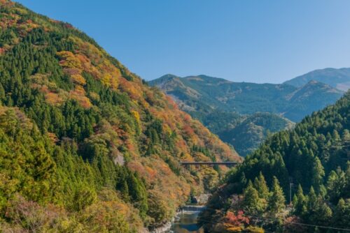 徳島で妊婦さんにおすすめの宿
